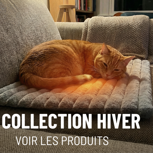 COLLECTION HIVER