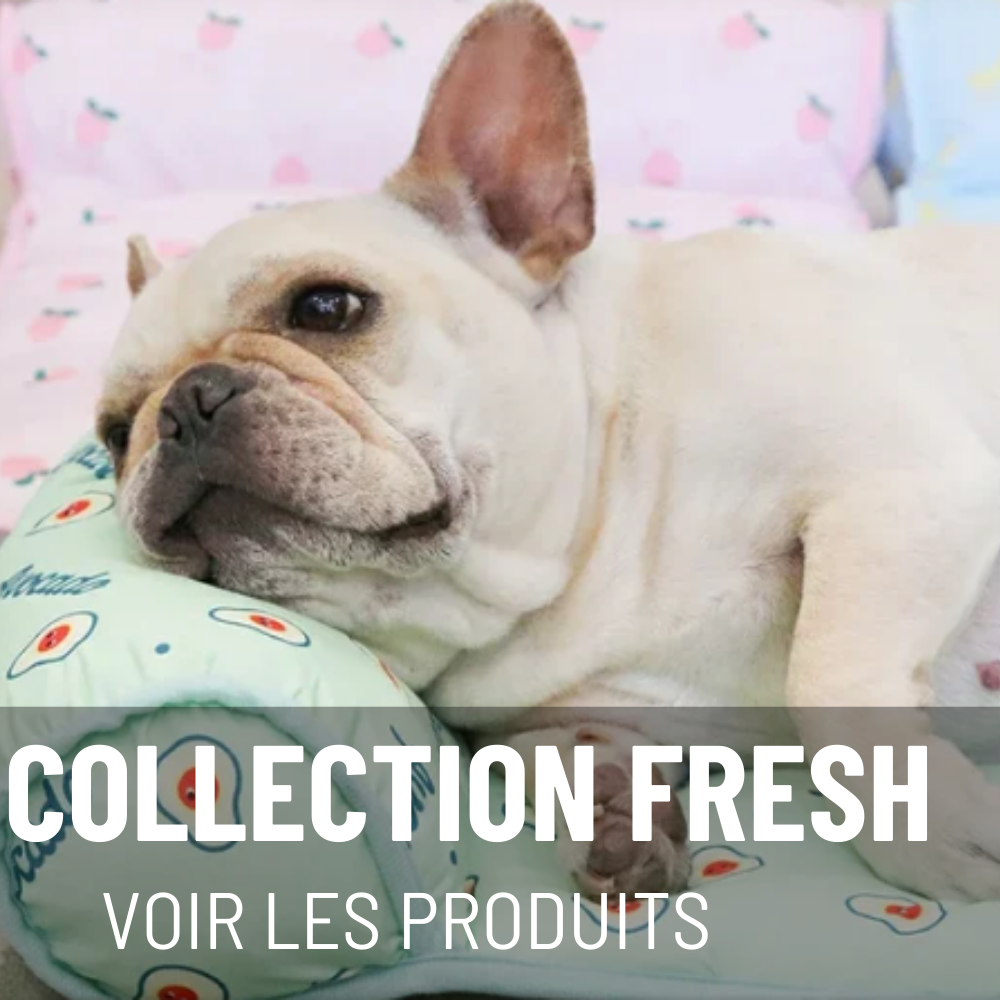 COLLECTION FRESH