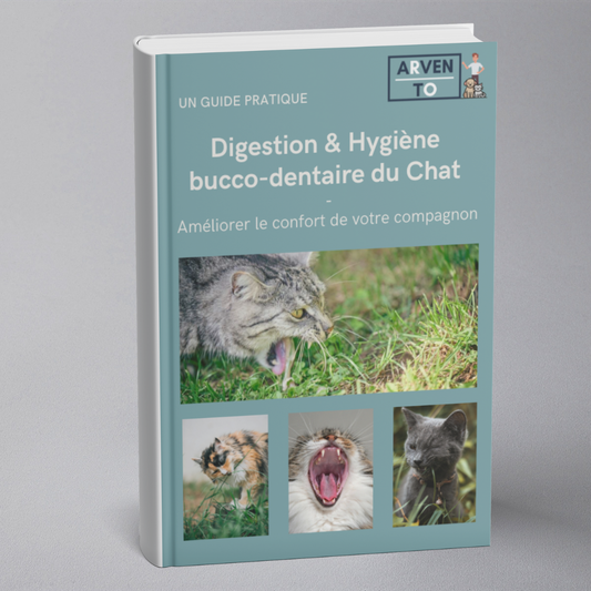 E-book – Digestione & Igiene orale del Gatto