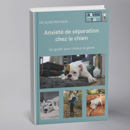 E-book - Ansia da separazione nel cane