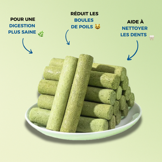 GREENBITE™ – Lo snack benessere per un gatto in perfetta forma