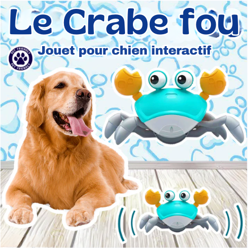 IL GRANCHIO PAZZO™ – Giocattolo interattivo a forma di granchio per cani e gatti