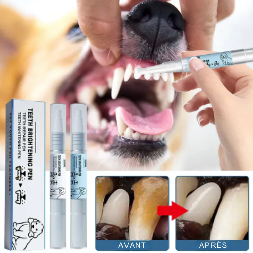 DENTIPET™ — Penna sbiancante e riparatrice per animali domestici