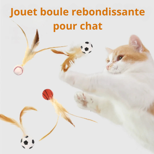 FELINEPLAY™ – Palline e piume interattive per gatti (confezione da 3)
