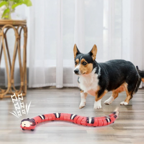 IL SERPENTE PAZZO — Giocattolo interattivo per animali domestici
