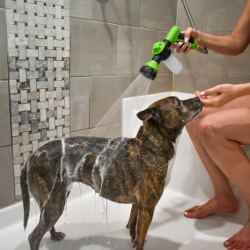 AQUAPUP™ — Doccia ad alta pressione per cani