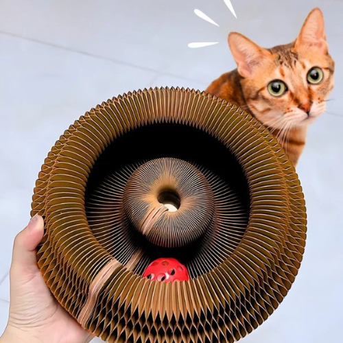CURLZY™ — Tiragraffi a spirale interattivo per gatti