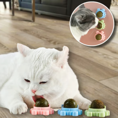 PALLINA CATNIP — Pallina murale con erba gatta (Confezione 2 pezzi)