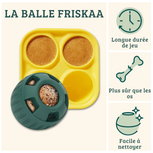 FRISKAA – La pallina che stimola, calma e gratifica il tuo cane