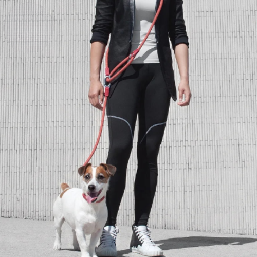 BODYLEASH™ – Guinzaglio a mani libere per passeggiate con il cane