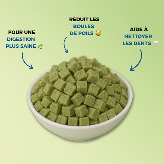 GREENBITE™ CUBES – I bocconcini benessere per un gatto in forma (60g)