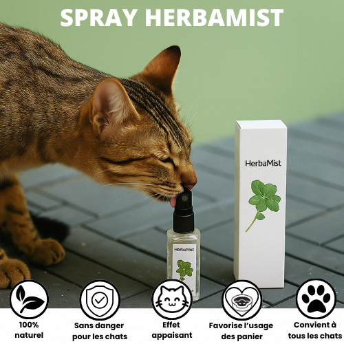 HERBAMIST™ — Spray rilassante alle erbe per gatti