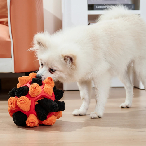 SNUFFLEBALL™ — Palla olfattiva per cani esploratori