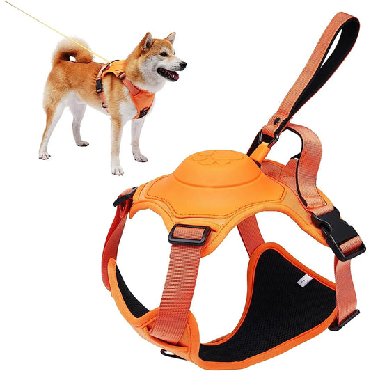 EASYTREK™ — Guinzaglio confortevole anti-strappo