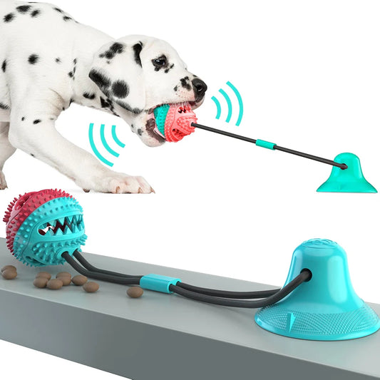 SNACKBALL™ — Pallina da masticare e tirare con ventosa per cani