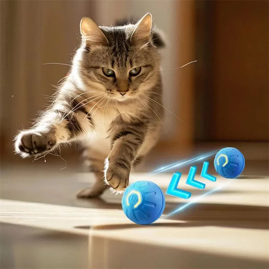 Giocattolo interattivo per gatti con palline