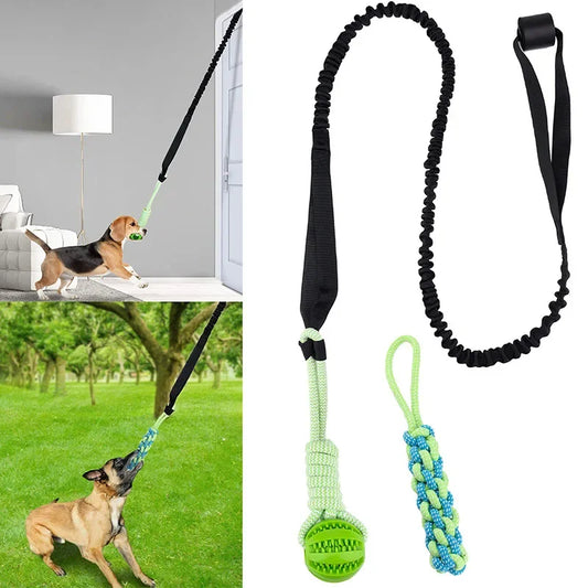 BUNGEETOY™ — Giocattolo elastico da tiro per cani