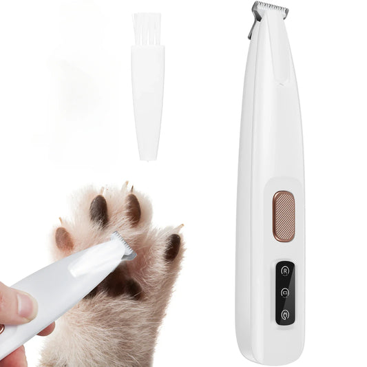 Giocattolo interattivo per gatti con palline
