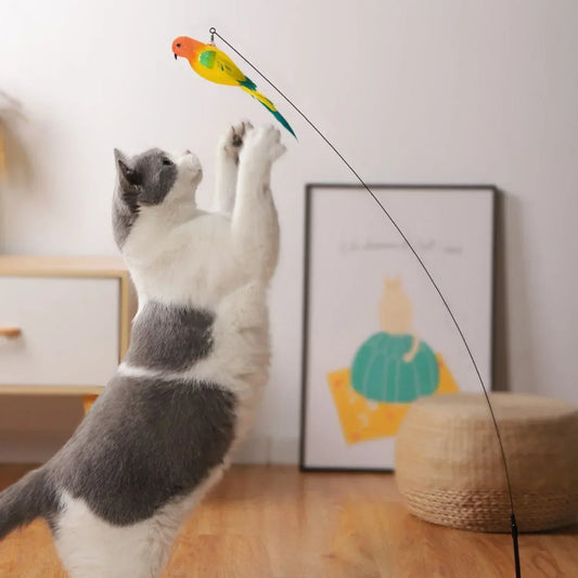SKYCHASE™ — Uccello interattivo per gatti attivi