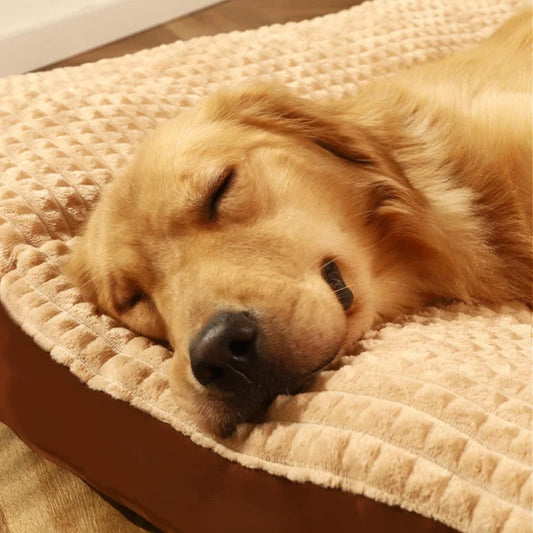 PETBED™ — Materasso morbido e confortevole per animali