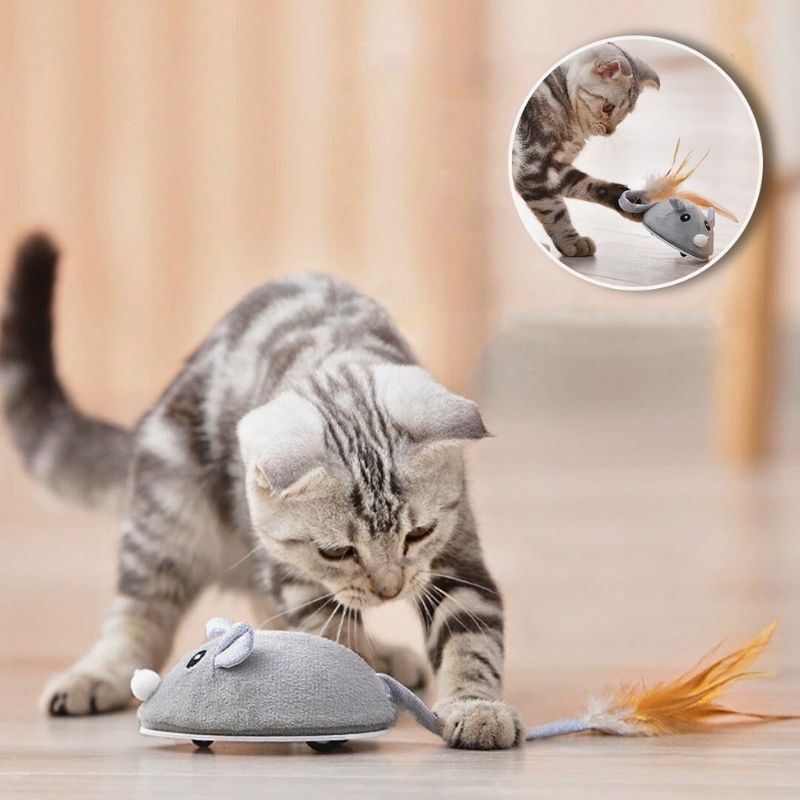 Topo per Gatti