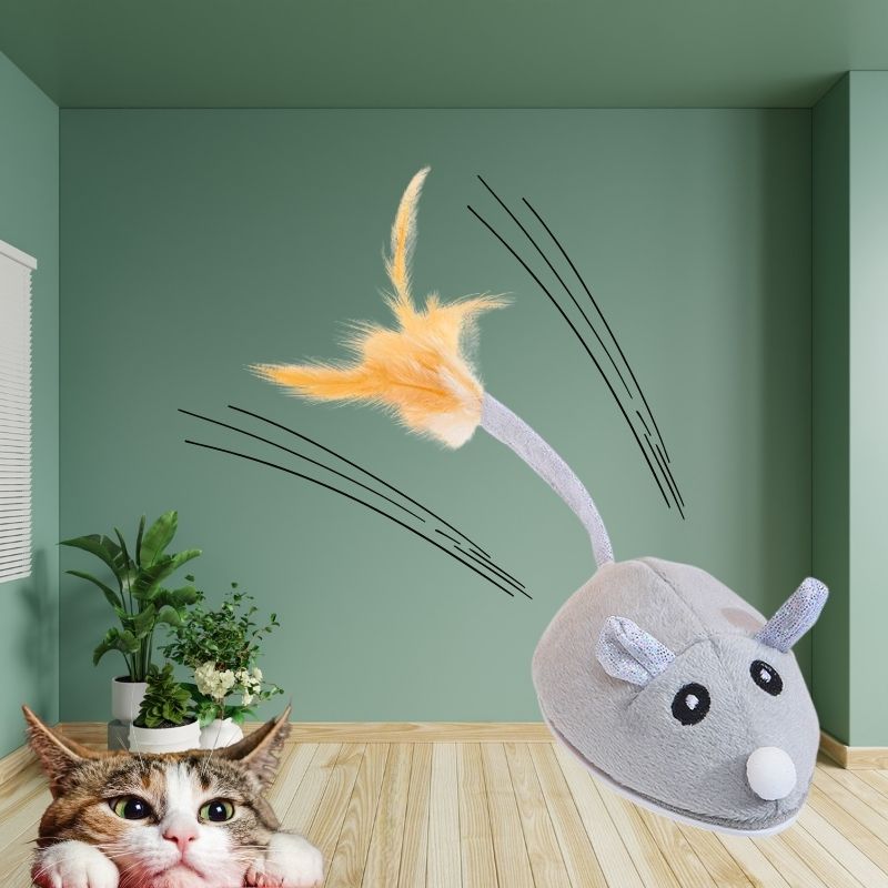 Topo per Gatti