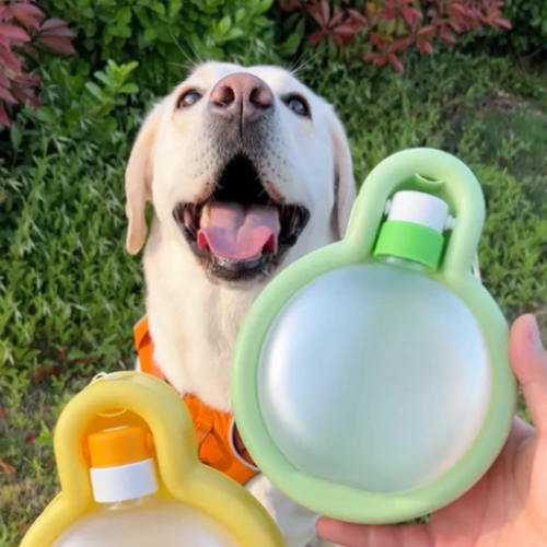 LA BOTTIGLIA PALLONCINO – Borraccia portatile per cani