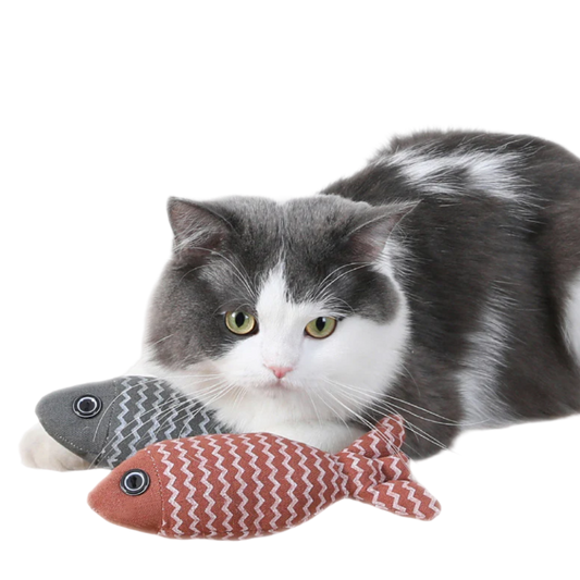 Giocattolo per gatti a forma di pesce, infuso di erba gatta