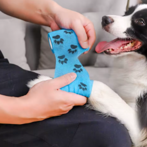 PETWRAP™ – Benda veterinaria autoadesiva per zampe (confezione da 8)