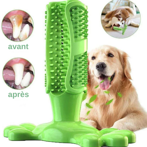 DOGCARE™ — Giocattolo da masticare per l'igiene dentale