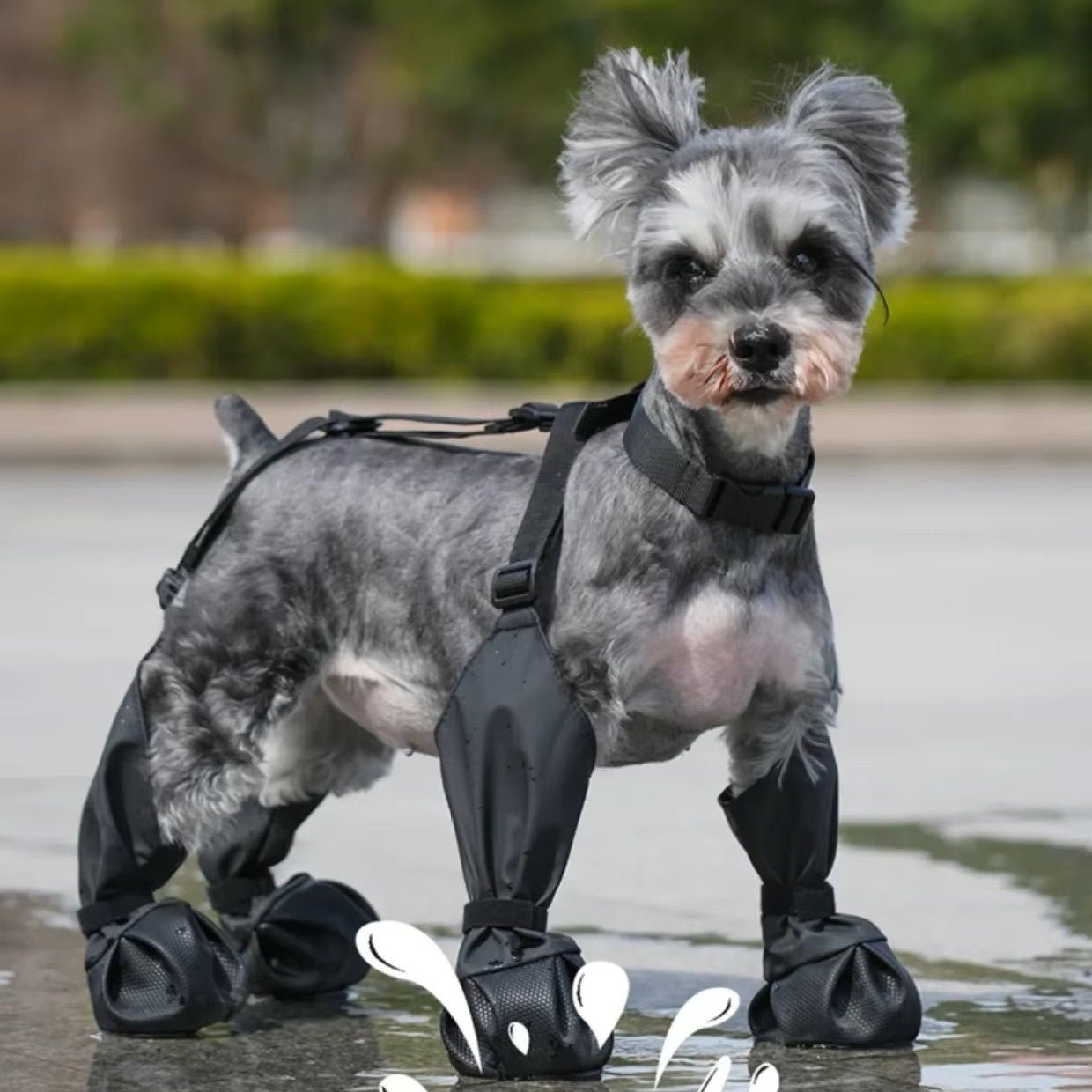Stivali per cani | DoggyBoots™ - PuppyDog Zone
