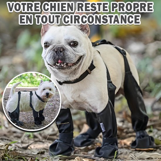 Stivali per cani | DoggyBoots™ - PuppyDog Zone