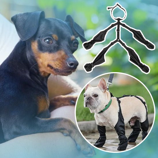 Stivali per cani | DoggyBoots™ - PuppyDog Zone