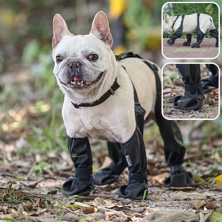 Stivali per cani | DoggyBoots™ - PuppyDog Zone
