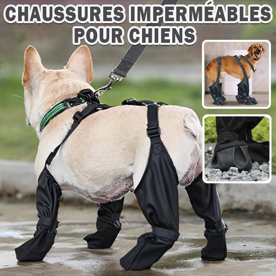 Stivali per cani | DoggyBoots™ - PuppyDog Zone