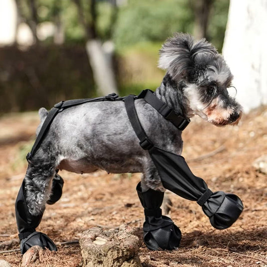 Stivali per cani | DoggyBoots™ - PuppyDog Zone