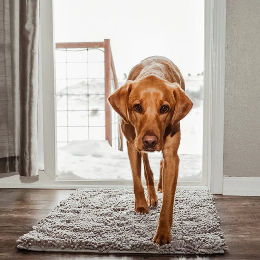 PAWMAT™ — Tappetino assorbente e antiscivolo per cani