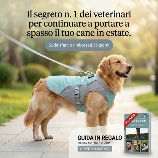 FRESHVEST™ — Giacca rinfrescante per cani